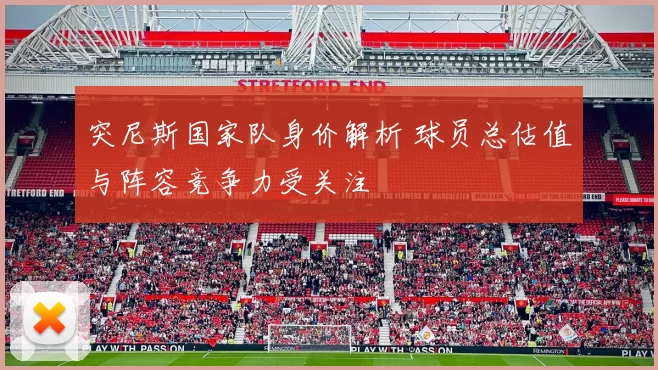 突尼斯国家队身价解析 球员总估值与阵容竞争力受关注