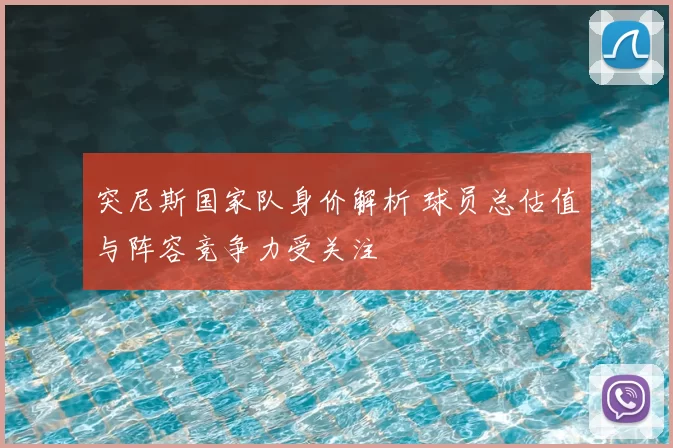 突尼斯国家队身价解析 球员总估值与阵容竞争力受关注