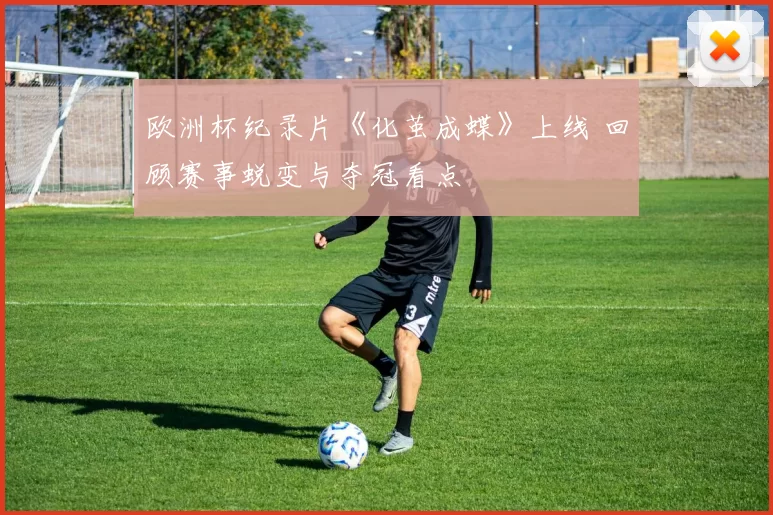 欧洲杯纪录片《化茧成蝶》上线 回顾赛事蜕变与夺冠看点