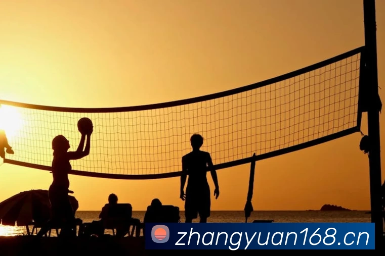 App Interface Preview