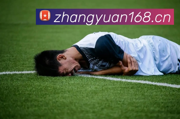 9游会j9官网APP 封面图